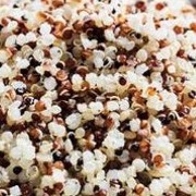 Quinoa